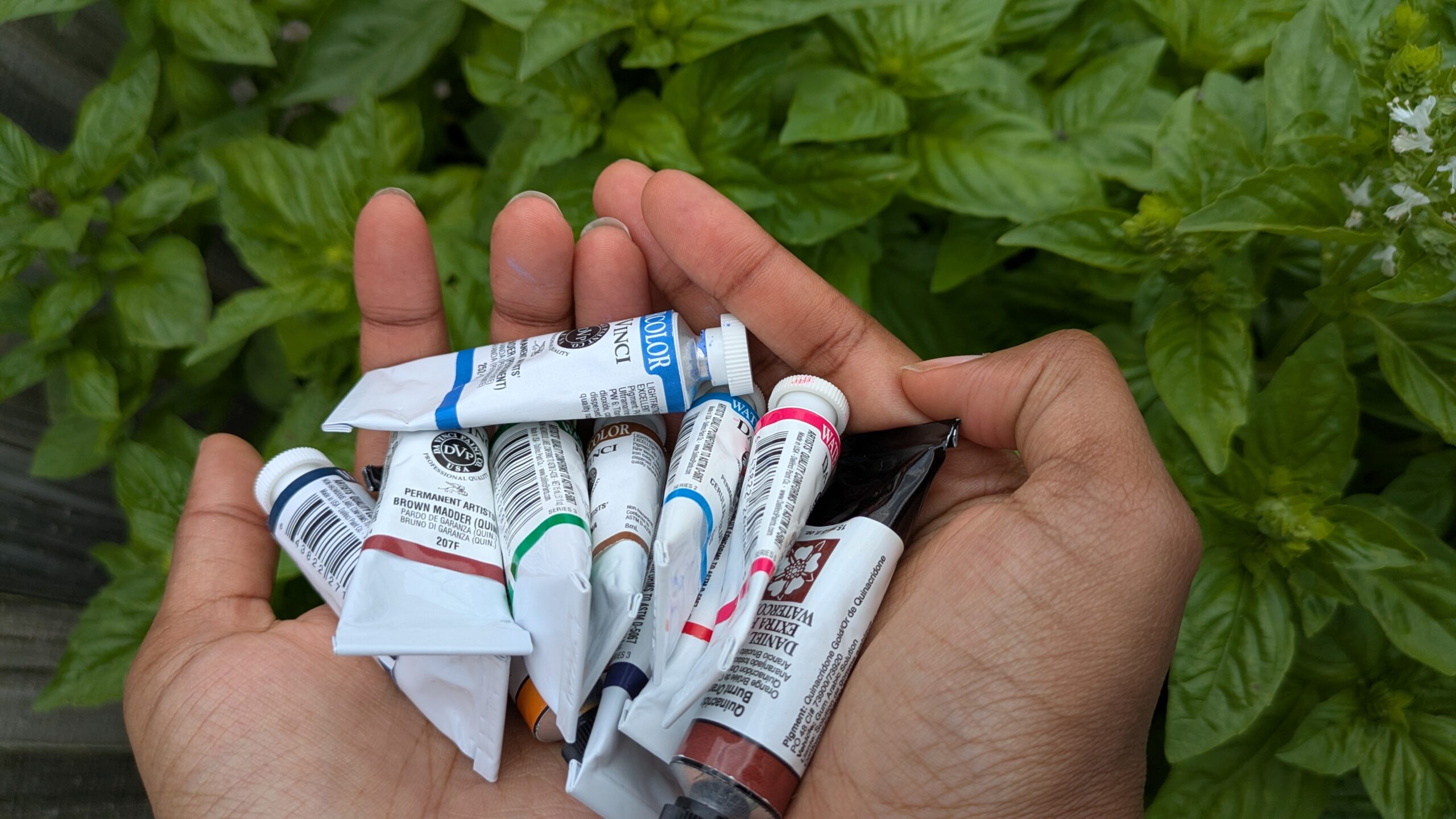 Two hands are cupped together holding a bunch of watercolor tubes. In the background there is a large basil plant.
